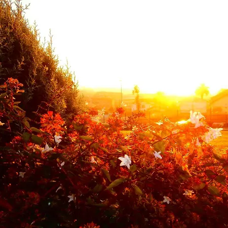 Telleri بيت ضيافة 3*