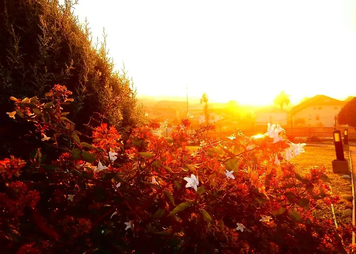 Telleri Guest house 3*